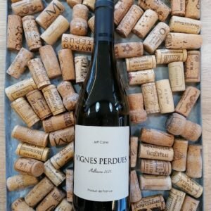 Vin blanc. Vignes Perdues